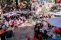 Galería Fotográfica (29).jpeg